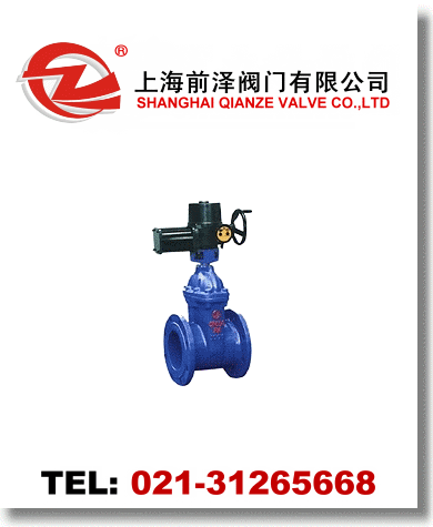 電動(dòng)軟密封閘閥